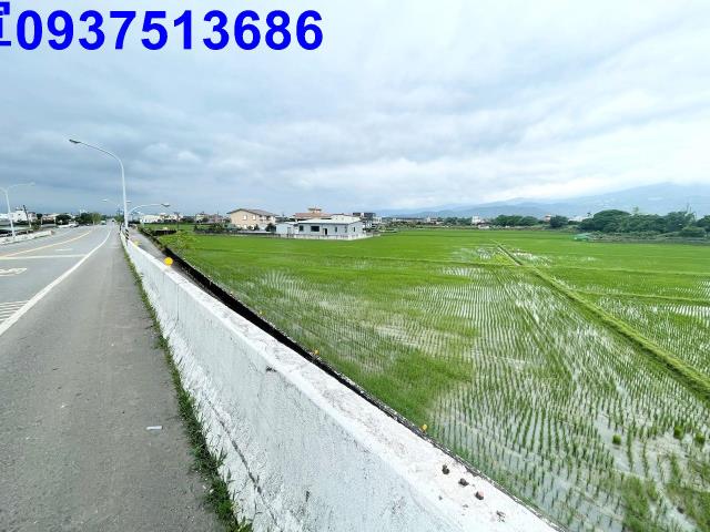 宜蘭礁溪農地-2