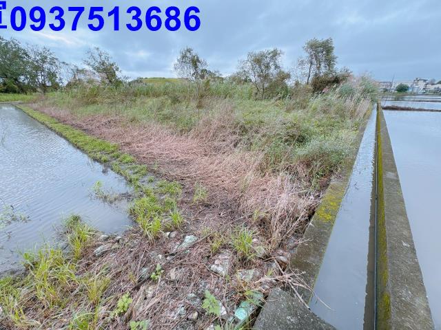 宜蘭宜蘭市農地-1