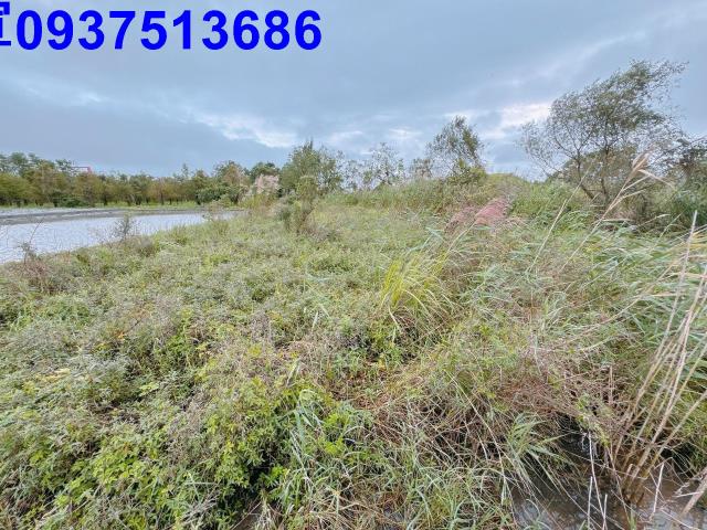 宜蘭宜蘭市農地-4