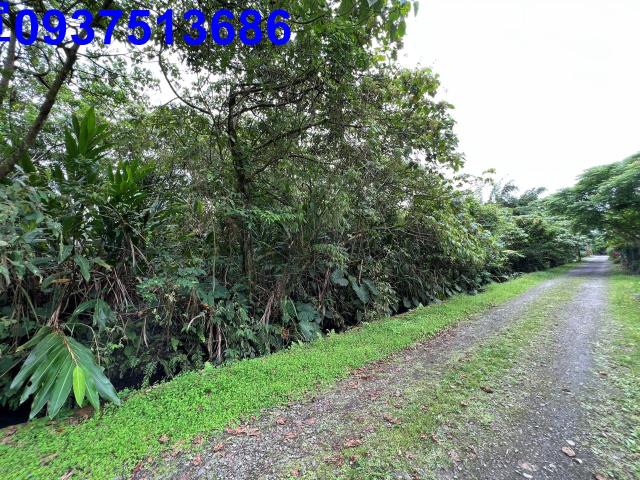 宜蘭員山農地-7