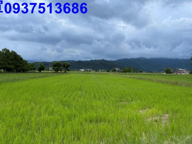 宜蘭三星農地-6