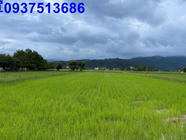 宜蘭三星農地-7