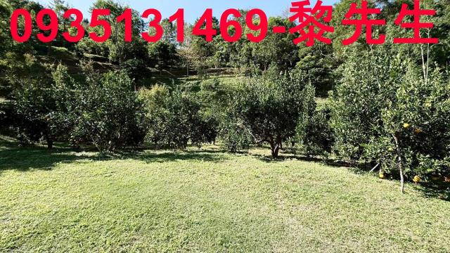 新竹峨眉農地-11