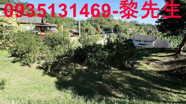 新竹峨眉農地-5