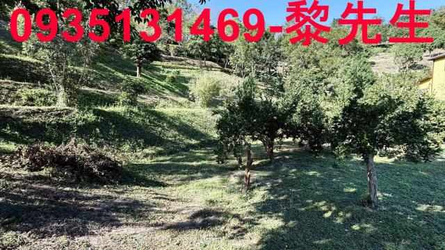 新竹峨眉農地-6