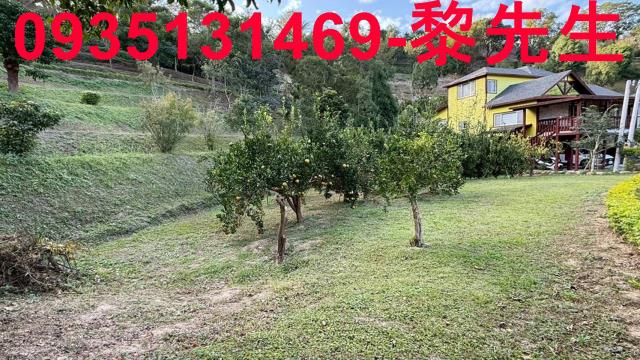 橫山沙坑大平台休閒農地