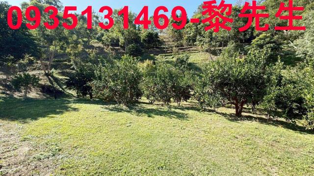 新竹縣峨眉鄉農地農舍山坡地