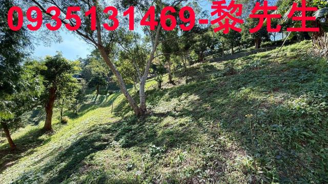 新竹峨眉農地-7