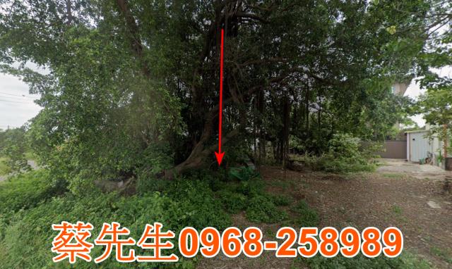 麻豆法拍麻豆建地麻豆土地