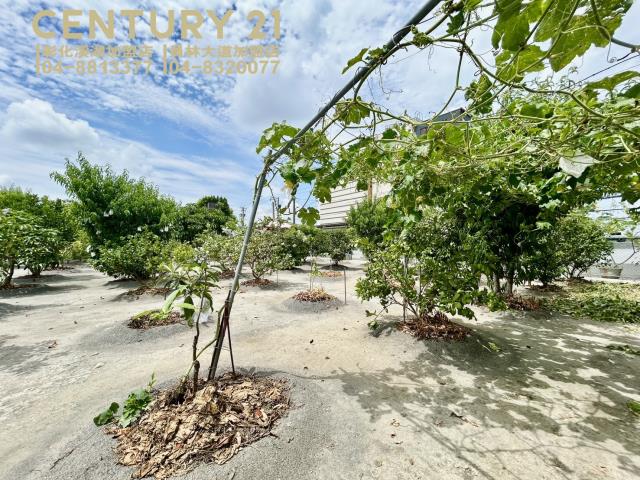 彰化大村農地-1