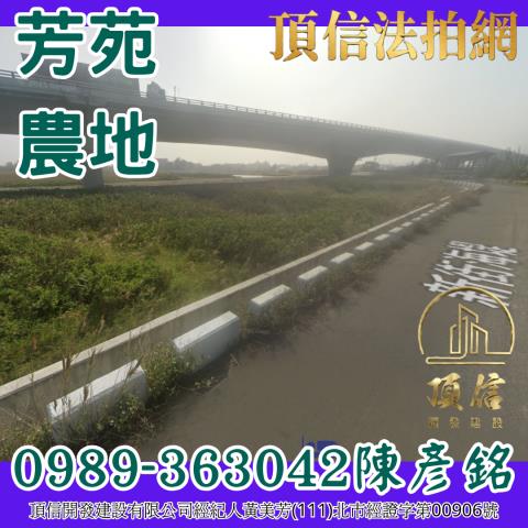 伸港曾家路農地種植經濟農作物果樹