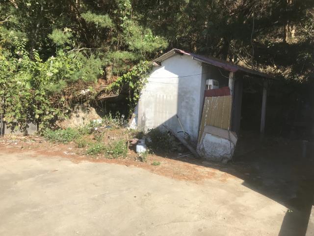 台中太平農地-0