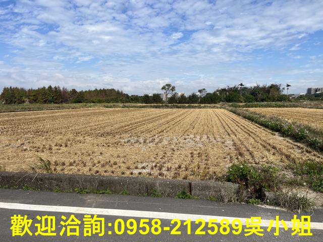 新竹新豐農地-9