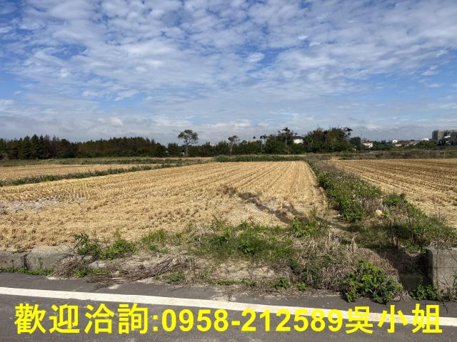 新竹新豐農地-8