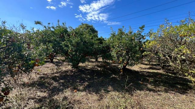 苗栗頭份農地-1