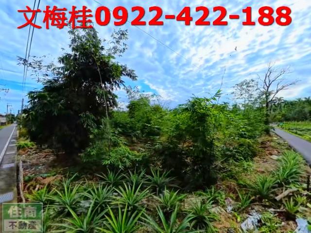 宜蘭員山農地-10