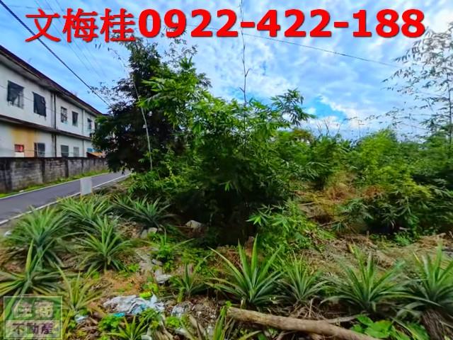 宜蘭員山農地-11