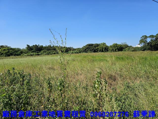 桃園蘆竹農地-0