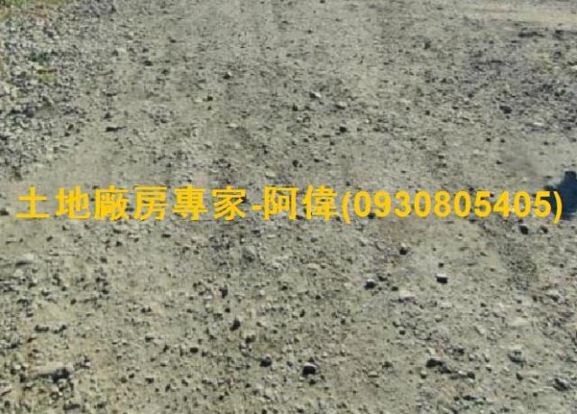 大社農地-0