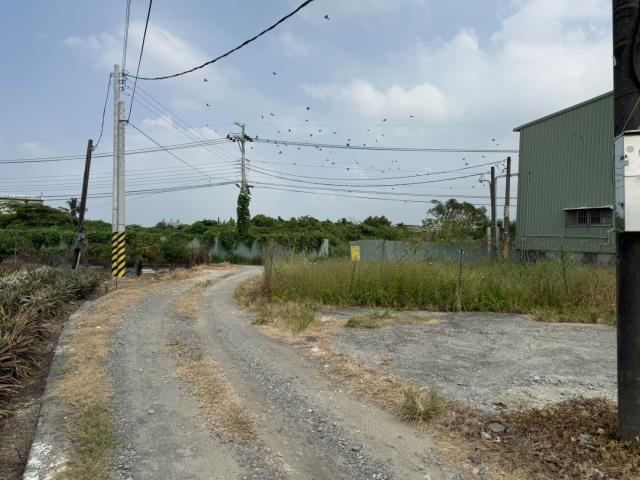 仁武農地-6