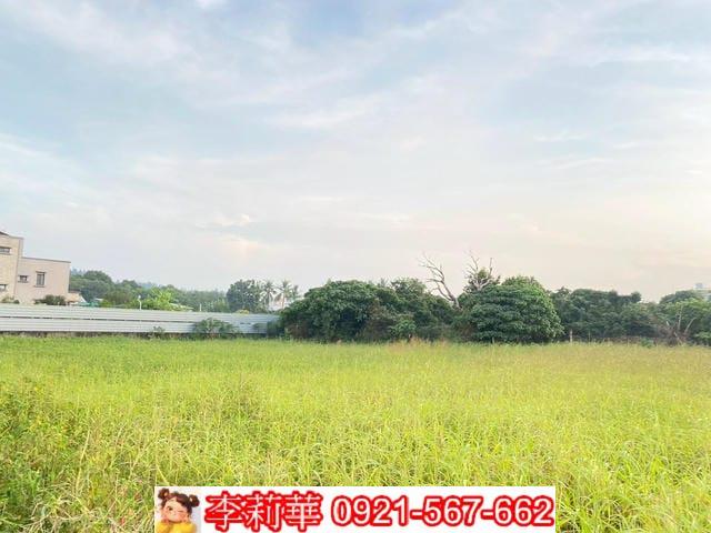 新化農地-4