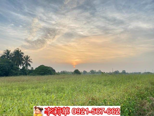新化農地-6