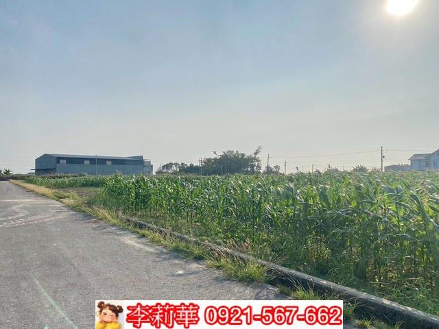 七股農地-1