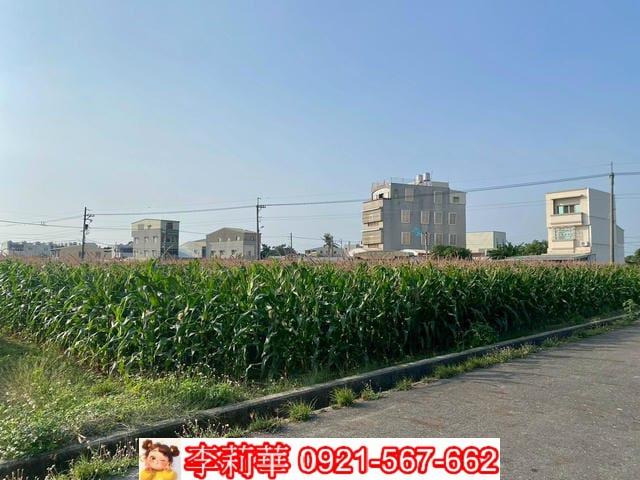 七股農地-2