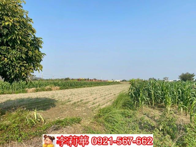 七股農地-5