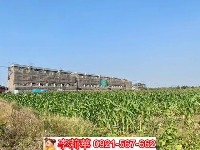 七股農地-6