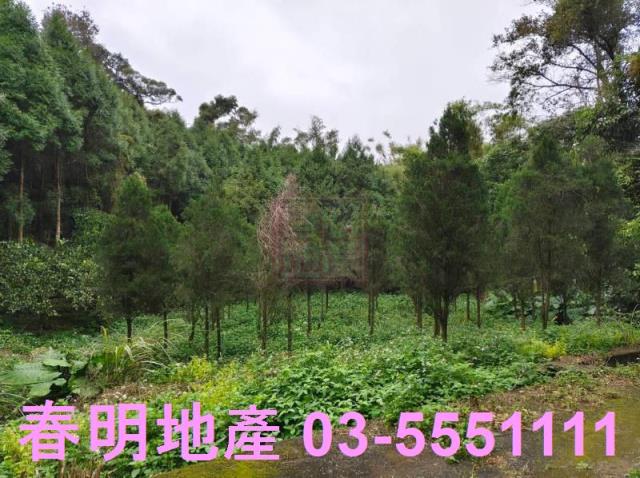 湖口15米路農地工業地廠房買賣租賃