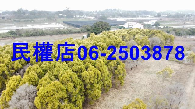 台南六甲農地-14