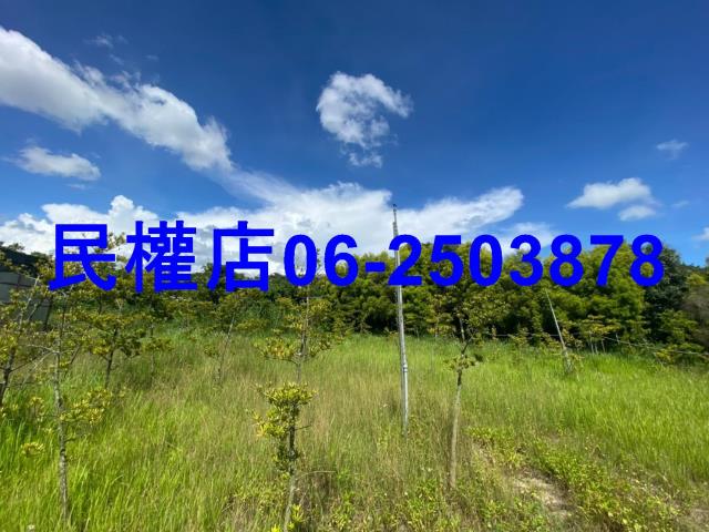 台南六甲農地-10