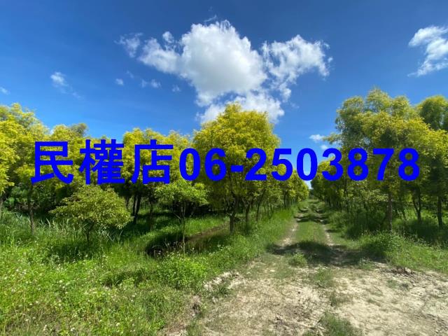 台南六甲農地-4