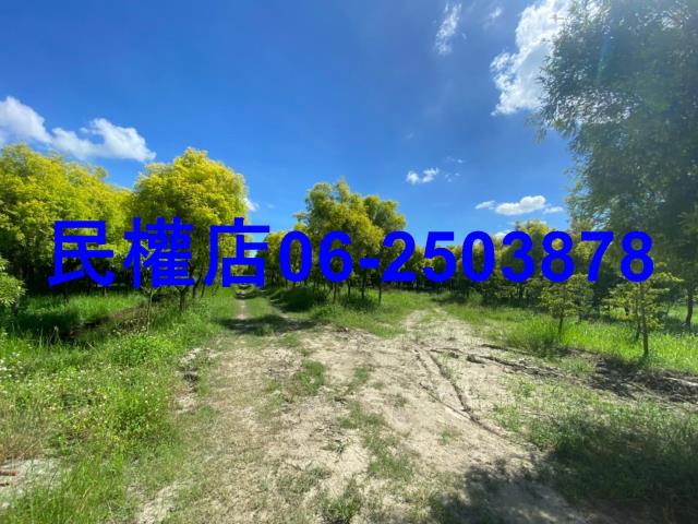 台南六甲農地-5