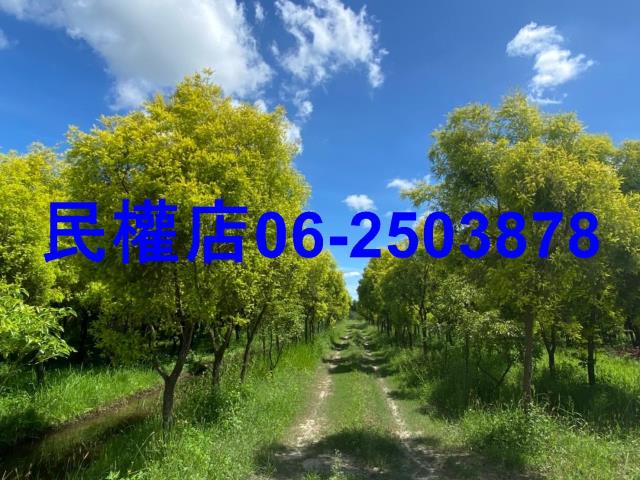 台南六甲農地-7