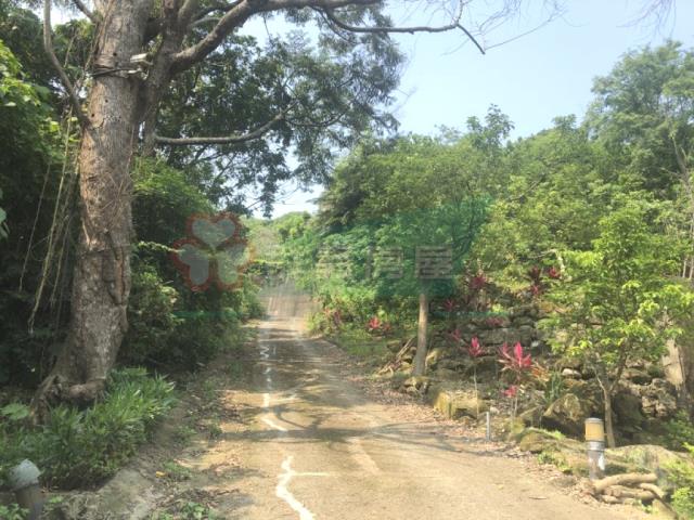 南投南投市農地-9