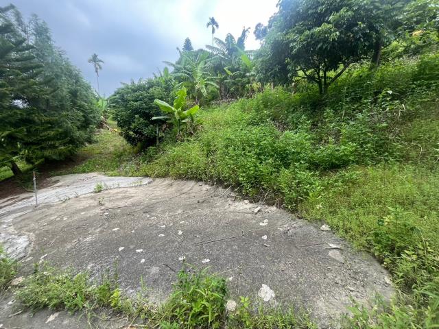 台中霧峰農地-10