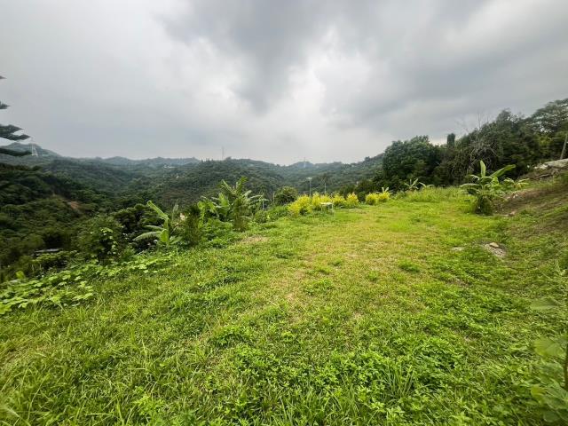 台中霧峰農地-0