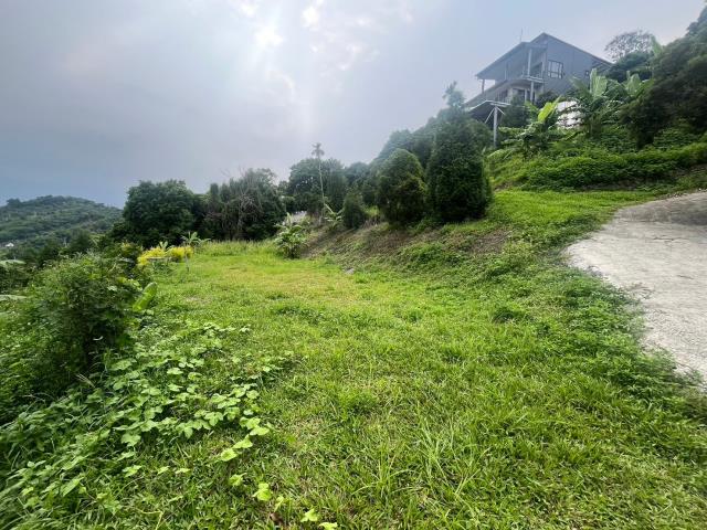 台中霧峰農地-4