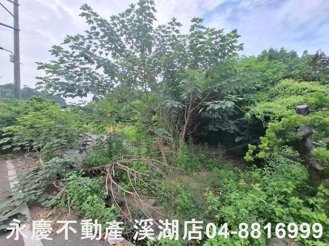 彰化田尾建地-1