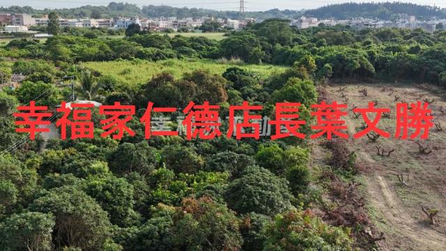 台南新化農地-3