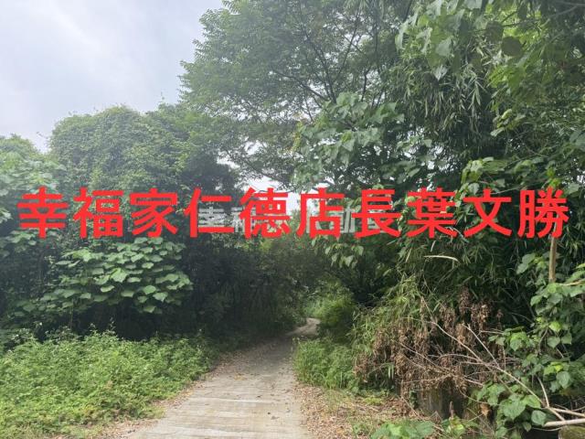 台南新化農地-5