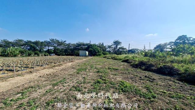 新市農地-2