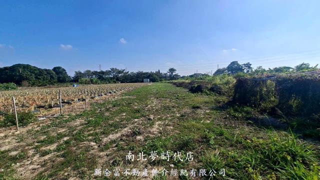 新市農地-3