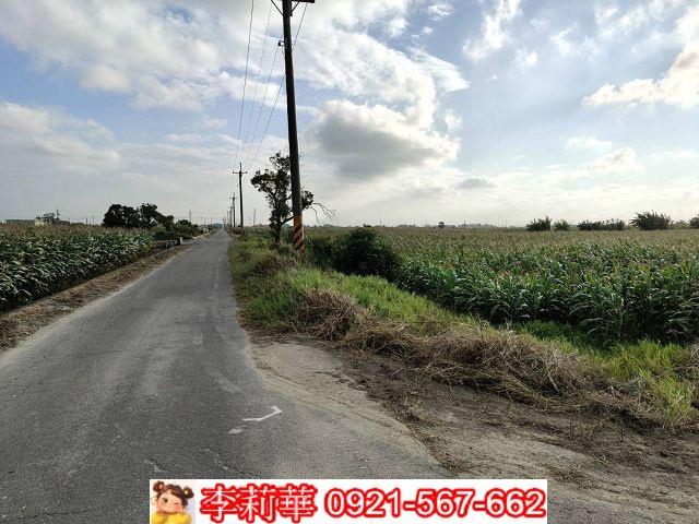 七股農地-2