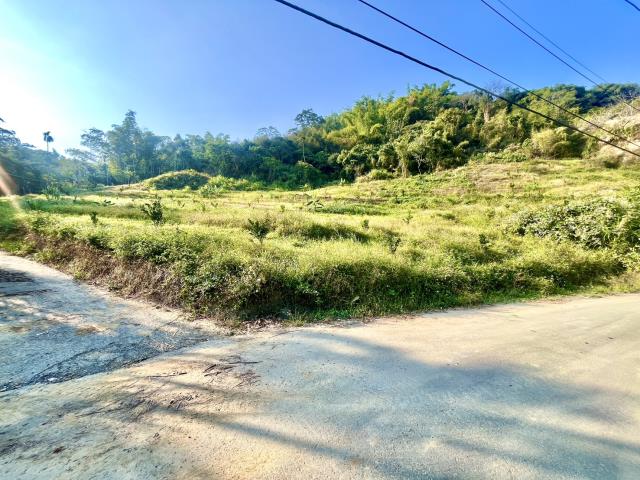 中寮國中都計內農建地4分5