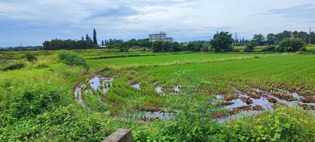 桃園農地-1