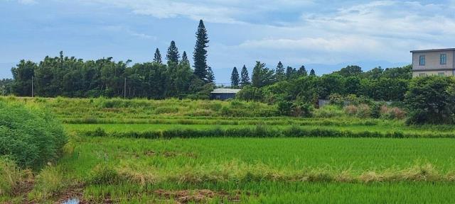 桃園農地-2