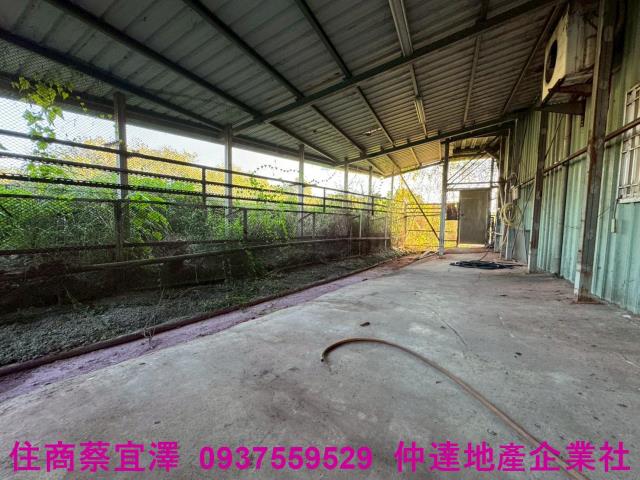 台南新市農地-5